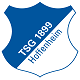 Logo TSG Hoffenheim Neu