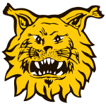 Team 1 Logo